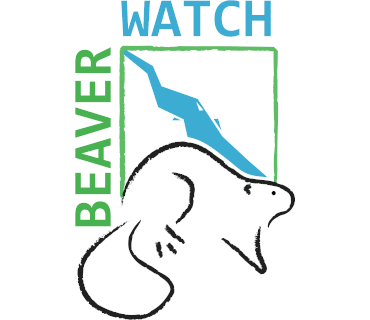 Association Beaverwatch